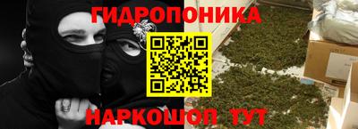 ГАЛЛЮЦИНОГЕННЫЕ ГРИБЫ Можга