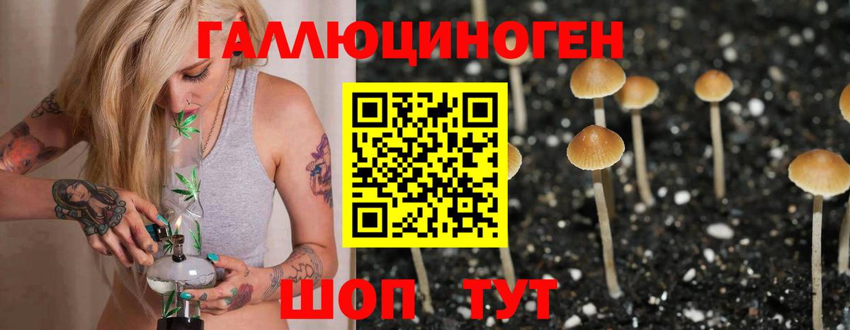 Джанкой  Псилоцибиновые грибы GOLDEN TEACHER  купить наркотик  Вход с VPN 